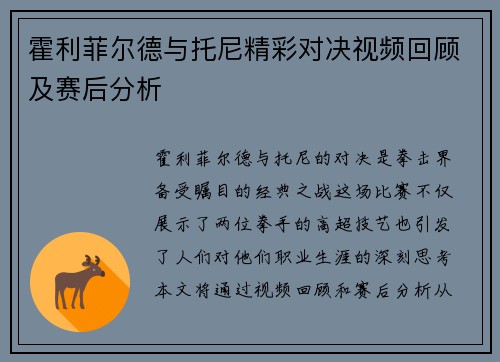 霍利菲尔德与托尼精彩对决视频回顾及赛后分析