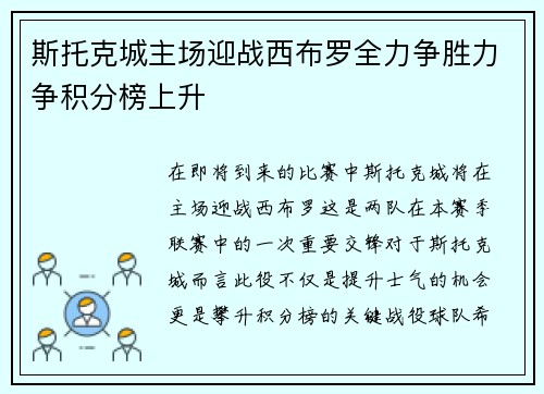 斯托克城主场迎战西布罗全力争胜力争积分榜上升