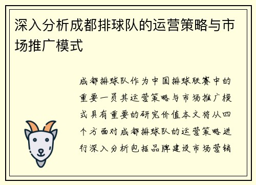 深入分析成都排球队的运营策略与市场推广模式