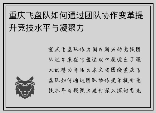 重庆飞盘队如何通过团队协作变革提升竞技水平与凝聚力